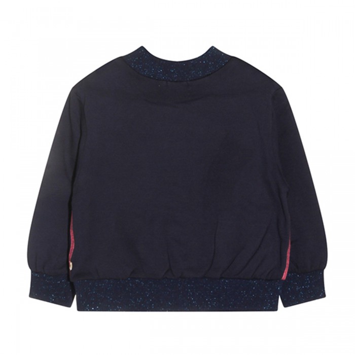 BLUE SWEATSHIRT 2