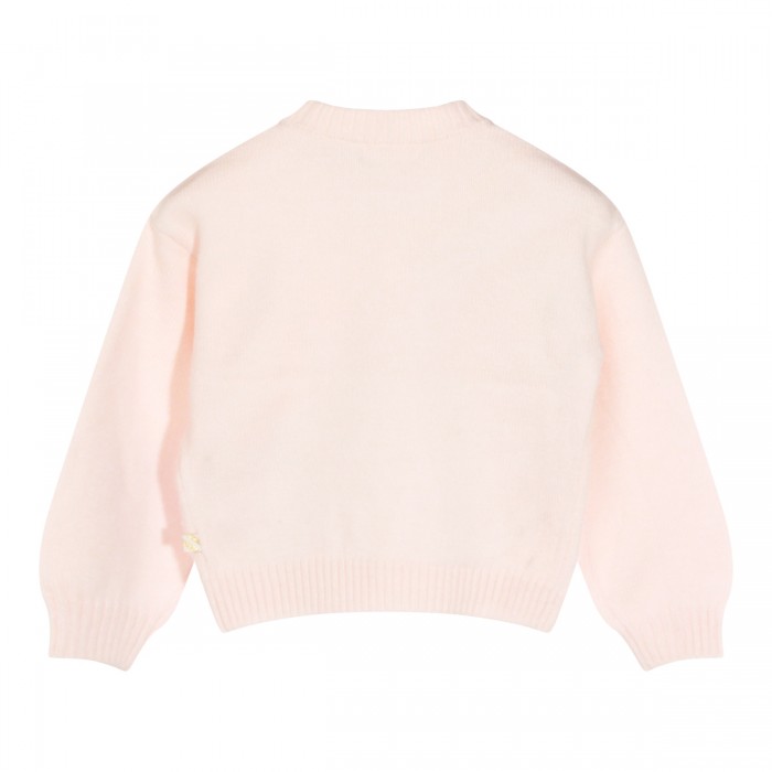 PINK SWEATSHIRT 2
