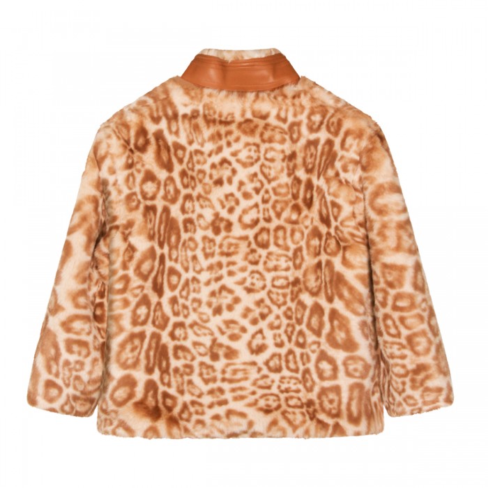 BROWN COAT 2