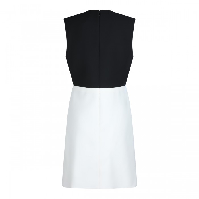 BLACK AND WHITE DRESS 2