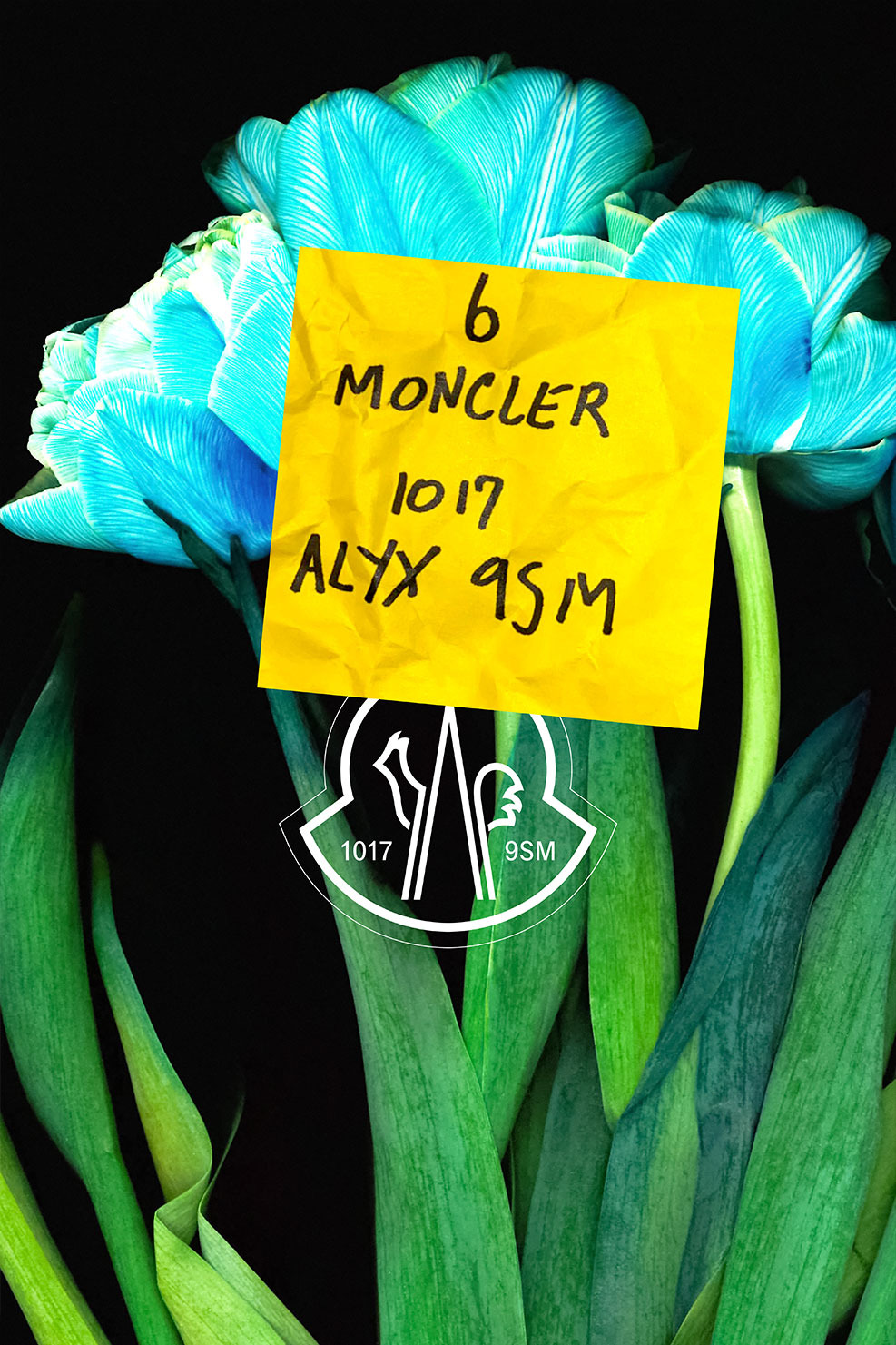  6 Moncler 1017 Alyx