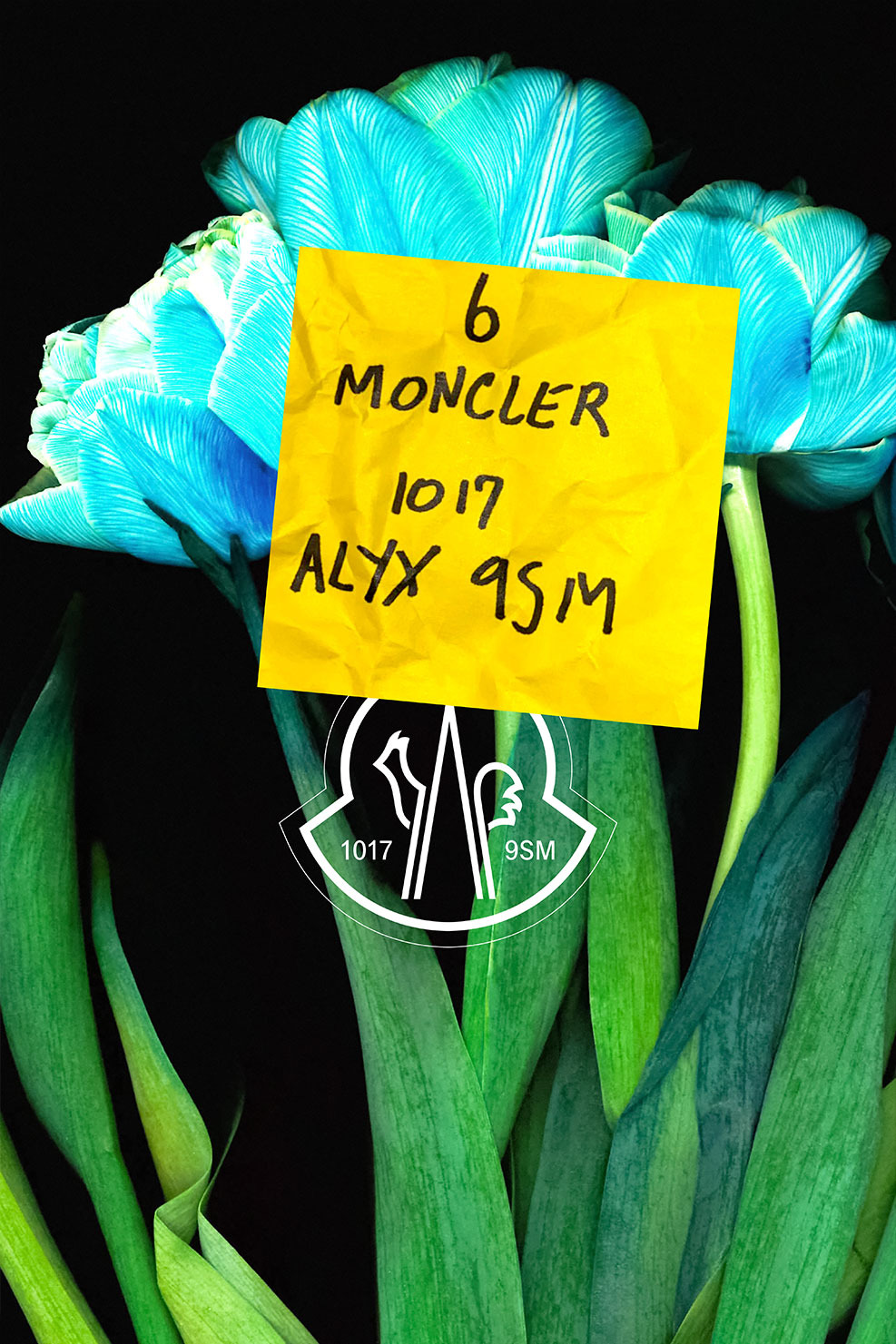 6 Moncler 1017 Alyx